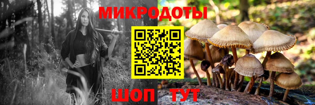 Дзержинск  Галлюциногенные грибы Psilocybine cubensis  закладка  Вход с VPN  Галлюциногенные грибы Cubensis 